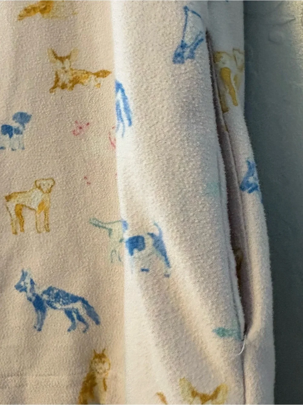 SweetHoney multicolored dog